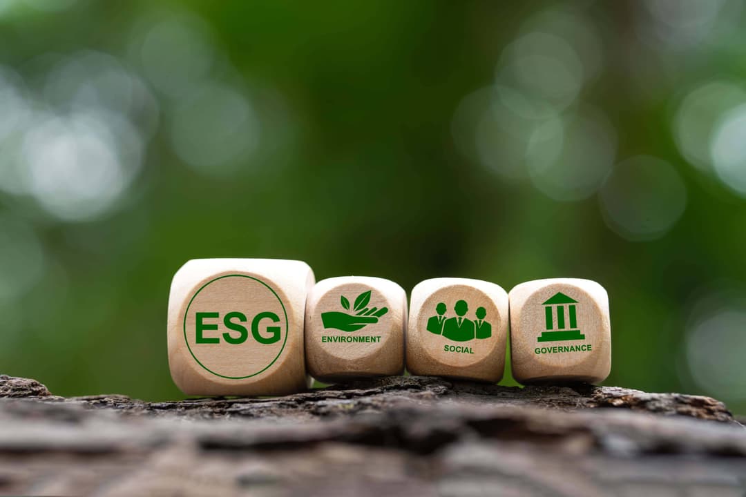 Sustainability Governance (ISO & ESG Framework)